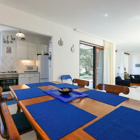 Captain's Beach House Villa Susica